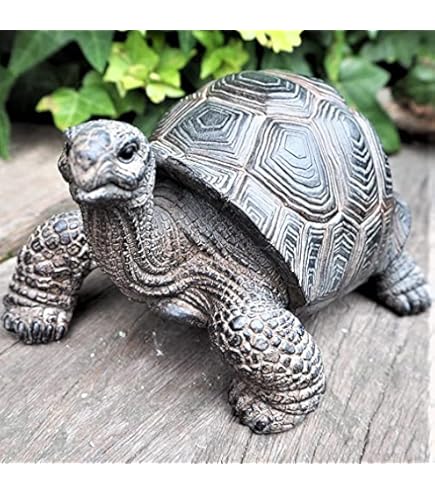 Amazon.co.jp: 亀の置物 かめ リアル カメ おきもの タートル 動物